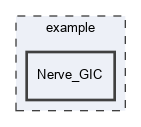 example/Nerve_GIC