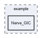 example/Nerve_GIC