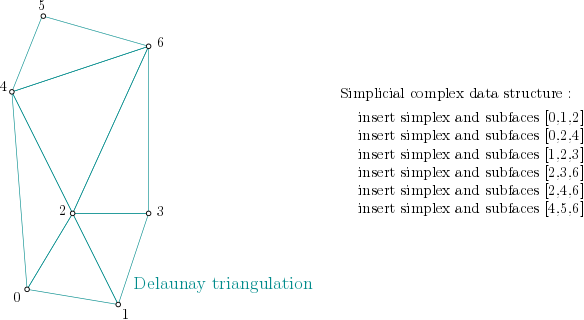 Delaunay complex representation